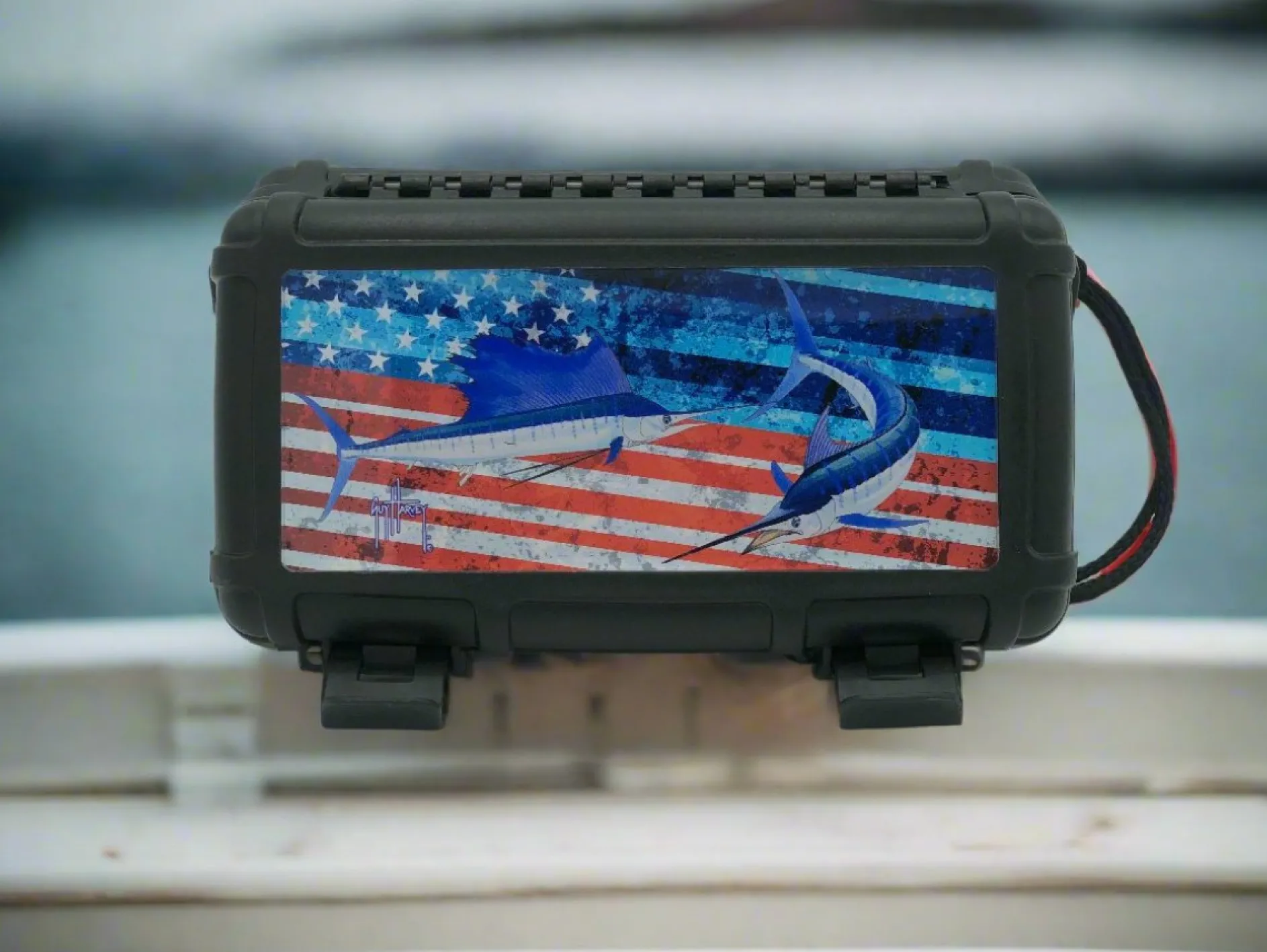 Americana Bills Case