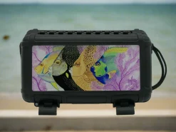 Angel Face Case