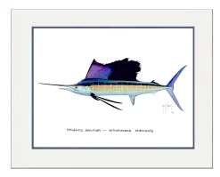 "Atlantic Sailfish" Grande Mini Print
