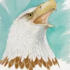 Bald Eagle Torso