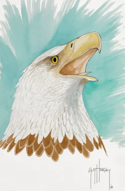 Bald Eagle Torso