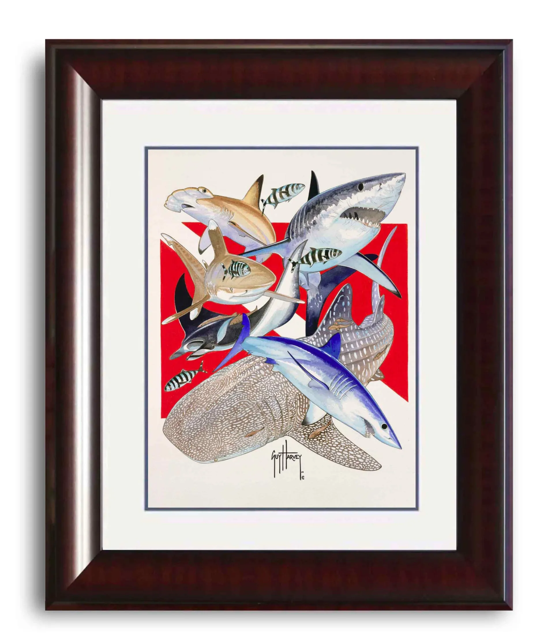 "Big Animal Dive" Grande Mini Print