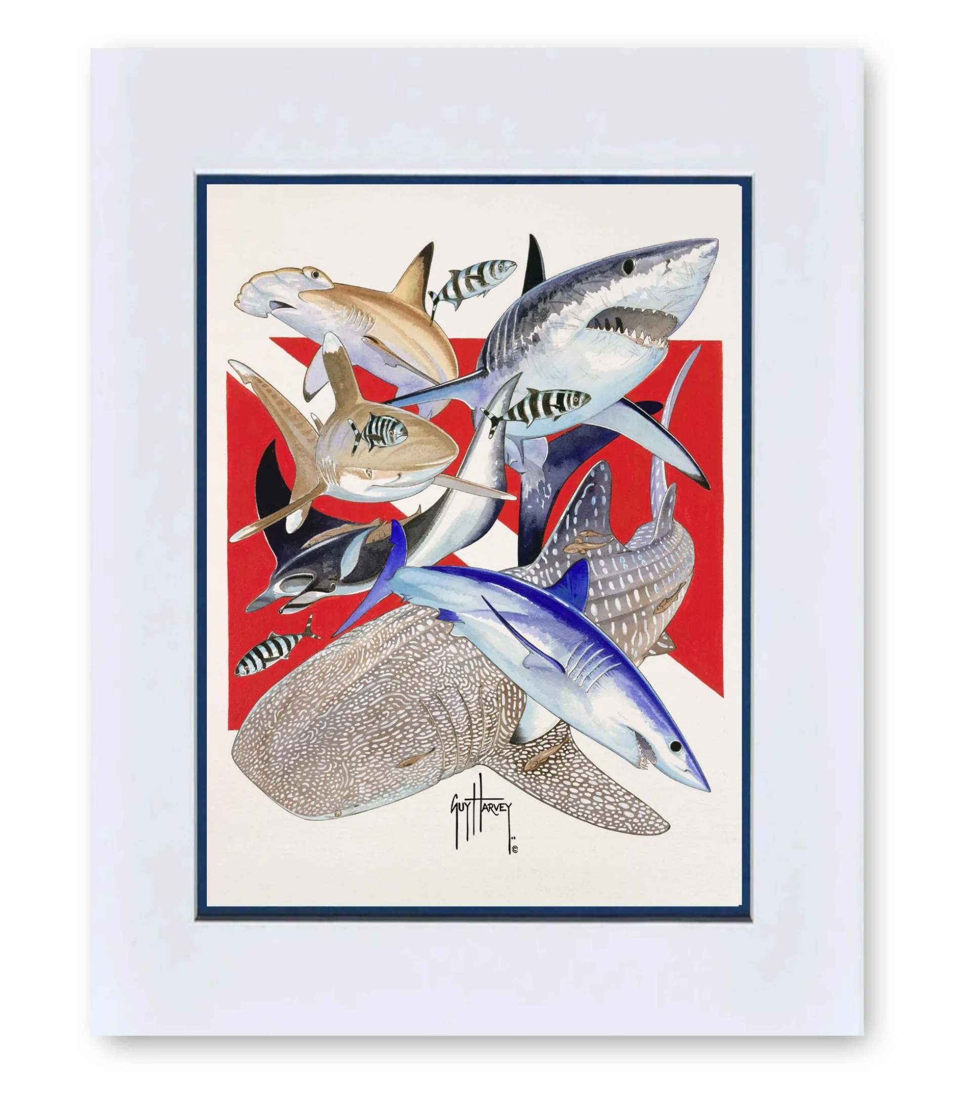 "Big Animal Dive" Grande Mini Print