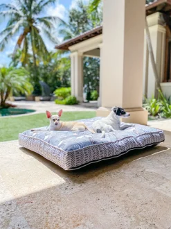Black Palm Guy Harvey Pet Bed