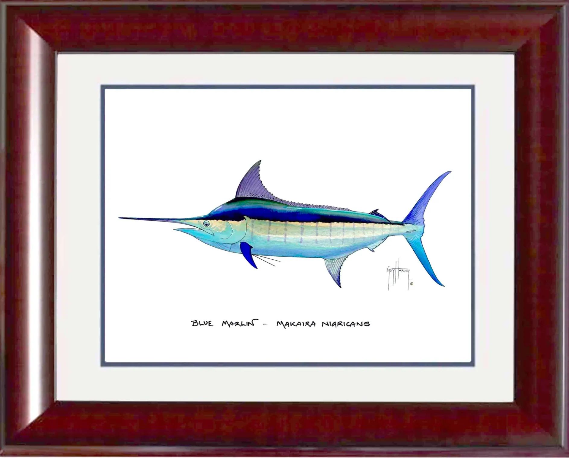 "Blue Marlin" Grande Mini Print