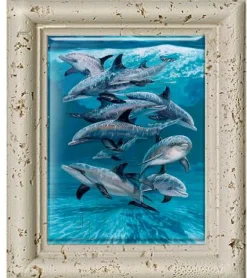 "Bottlenose Dolphins" Tile Art