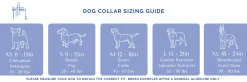Bull Dolphin Dog Collar