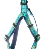 Bull Dolphin Dog Harness