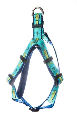 Bull Dolphin Dog Harness