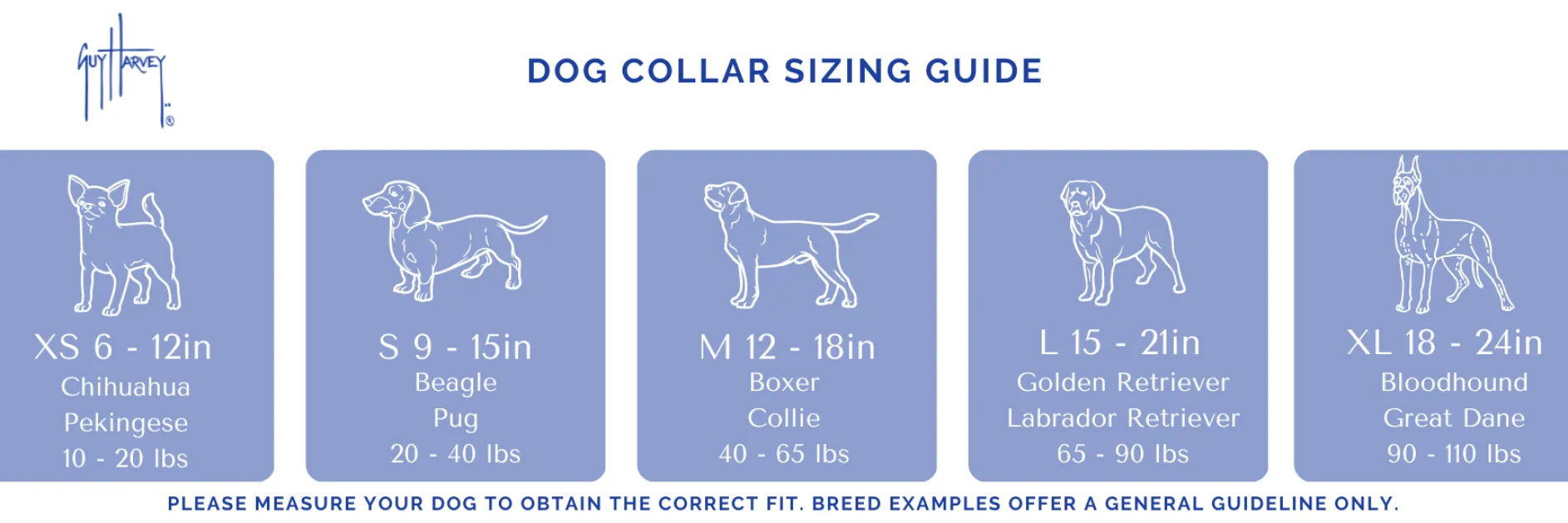Bull Dolphin Dog Harness