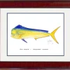 "Bull Dolphin" Grande Mini Print