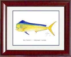 "Bull Dolphin" Grande Mini Print