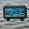 Caribbean Encounter Case