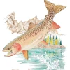 Cutthroat Trout