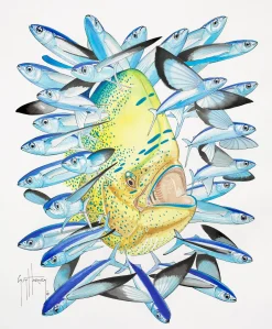 Dolphin & Black Winged Flying Fish