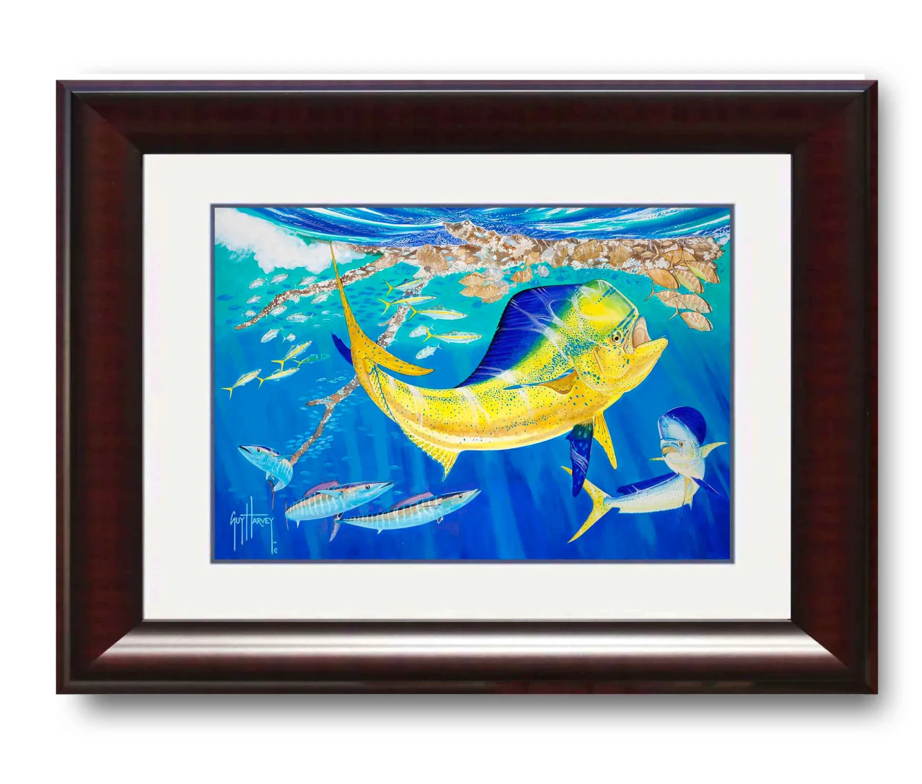 "Dolphin Oasis" Grande Mini Print