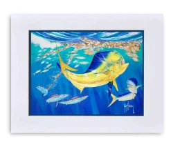 "Dolphin Oasis" Grande Mini Print