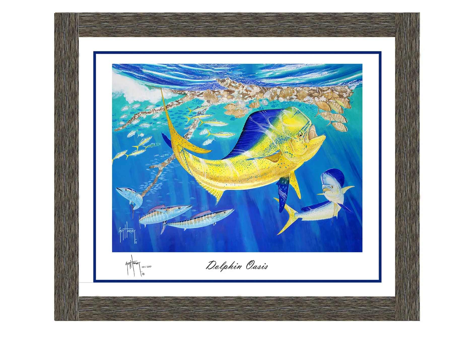 "Dolphin Oasis" Limited Edition Lithograph