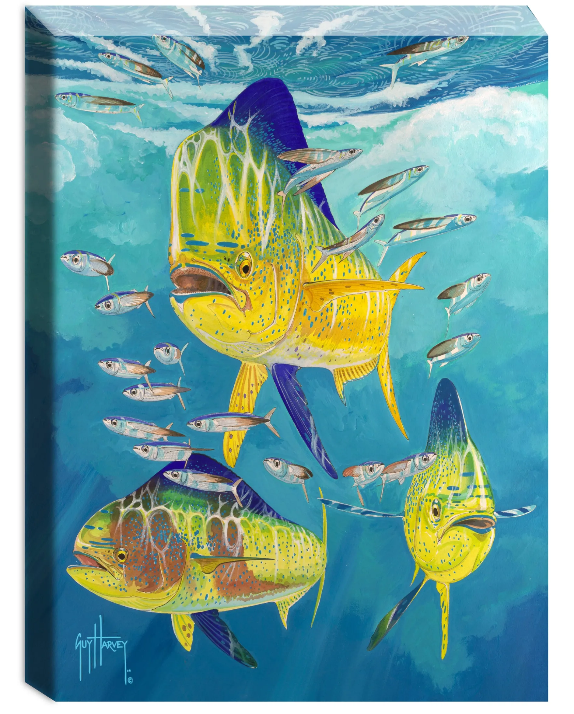 "Dolphin Trio" Small Canvas Art