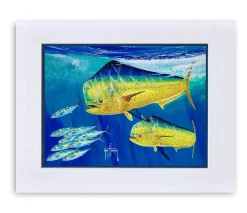 "Double Whammy" Grande Mini Print