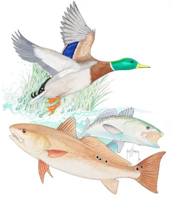 Ducks Unlimited