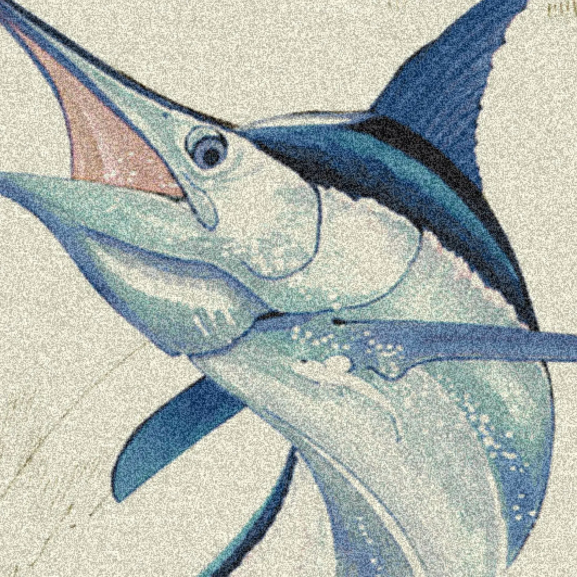 Fish On Area Rug