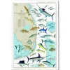 FLORIDA CHART