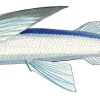 FOTOO FLYING FISH