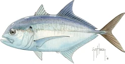 FOTOO GIANT TREVALLY