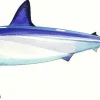 FOTOO LONGFIN MAKO SHARK