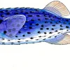 FOTOO PELAGIC PUFFERFISH