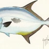 FOTOO-PERMIT