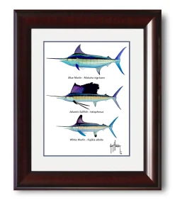 "Grand Slam Species" Grande Mini Print