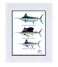 "Grand Slam Species" Grande Mini Print