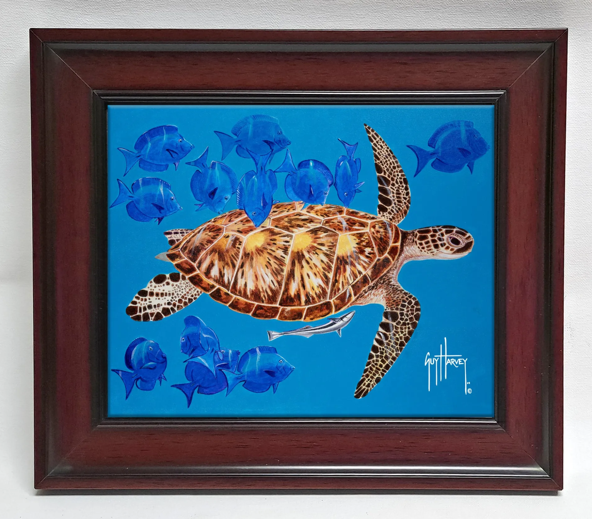 "Green Turtle & Blue Tangs" Tile Art