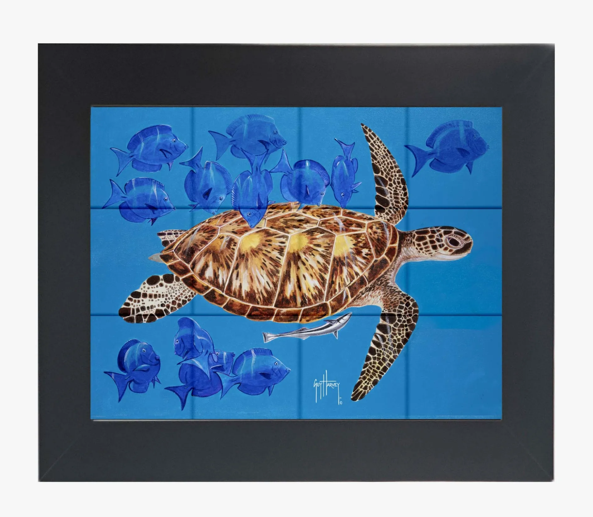 "Green Turtle & Blue Tangs" Tile Art