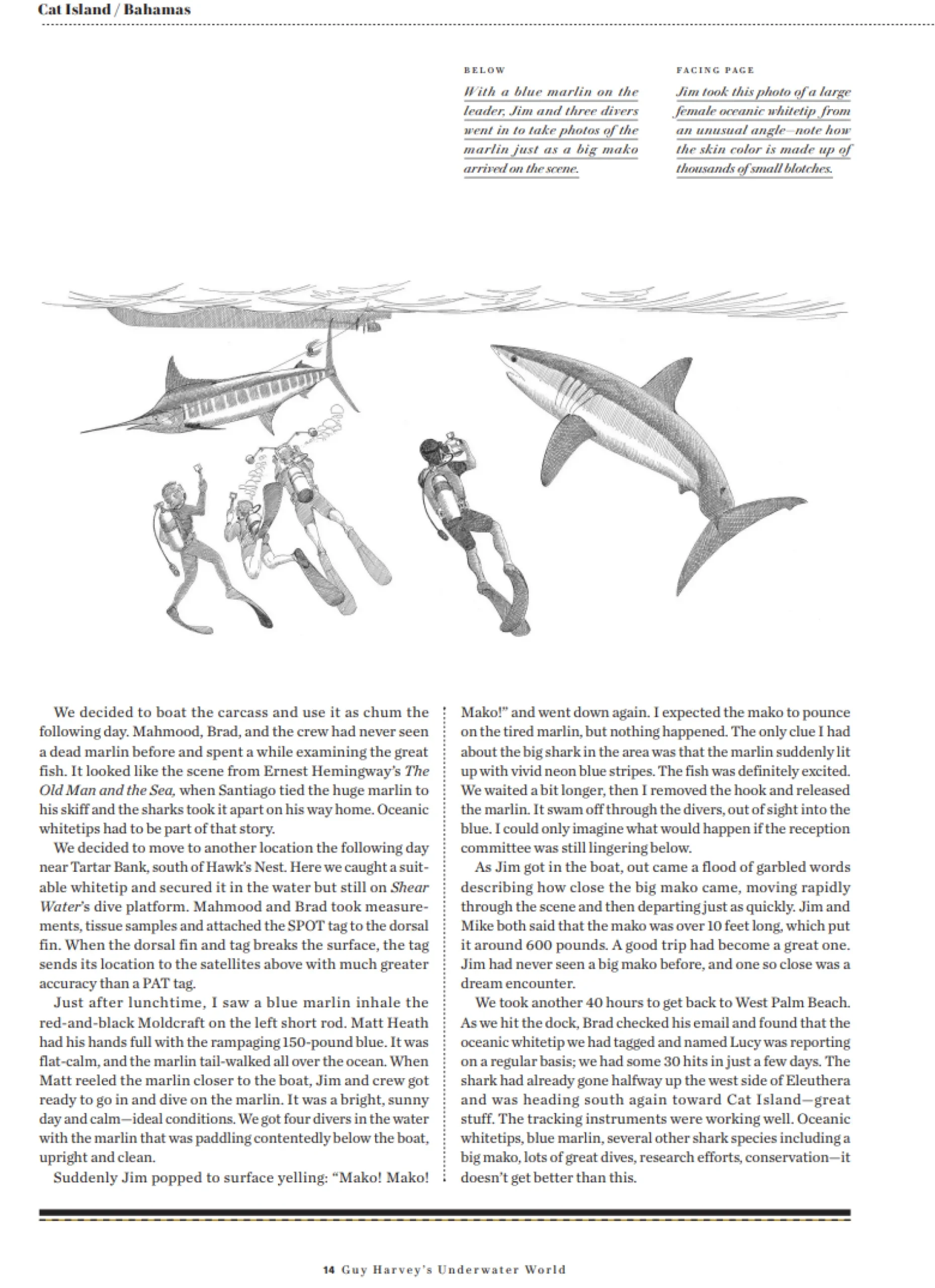 Guy Harvey's Underwater World -Remarque