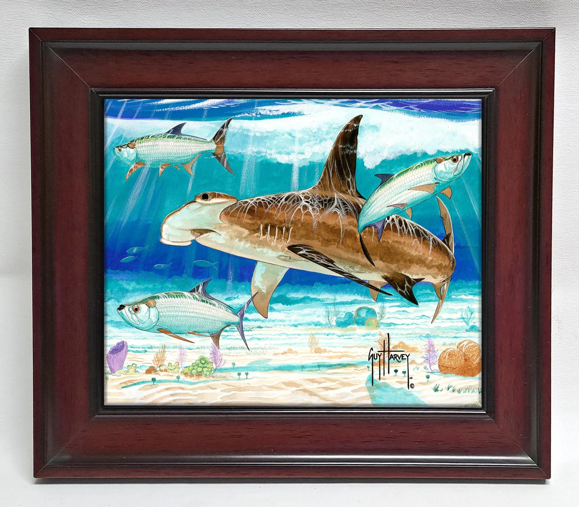 "Hammerhead Shark with Tarpon" Tile Art