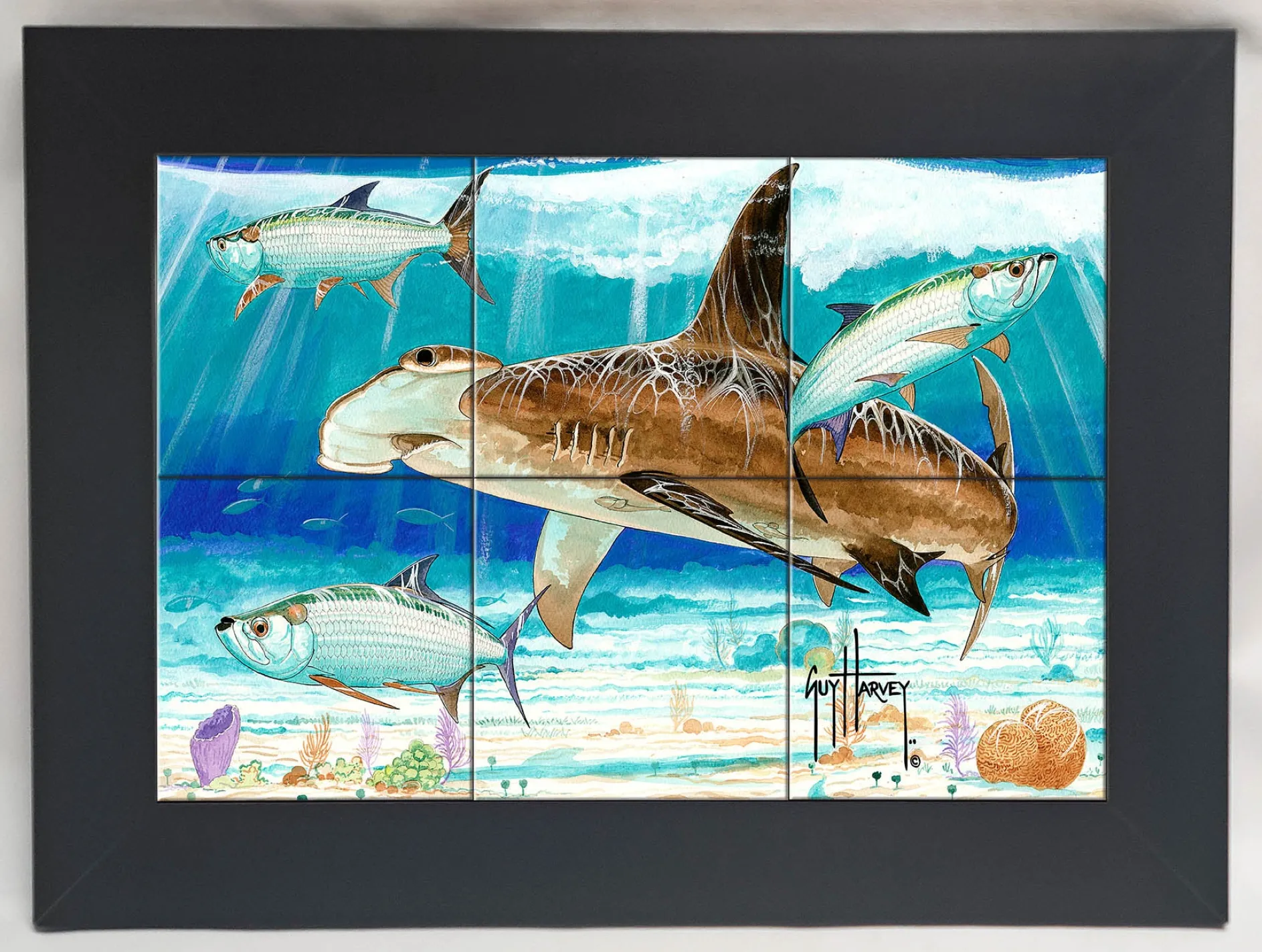 "Hammerhead Shark with Tarpon" Tile Art