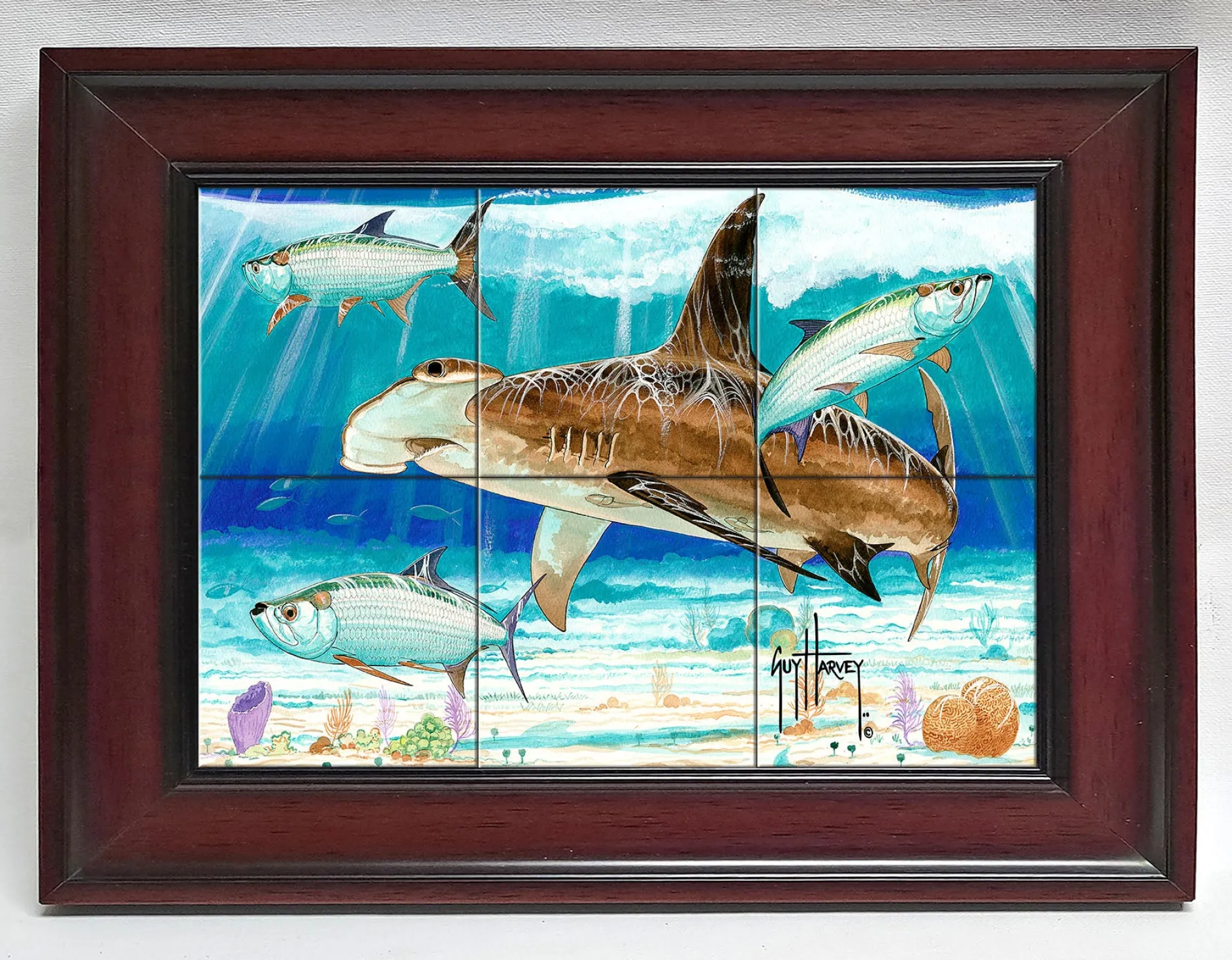 "Hammerhead Shark with Tarpon" Tile Art