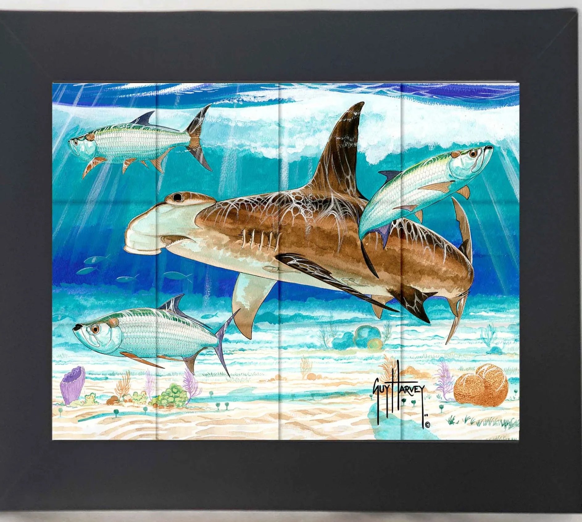 "Hammerhead Shark with Tarpon" Tile Art