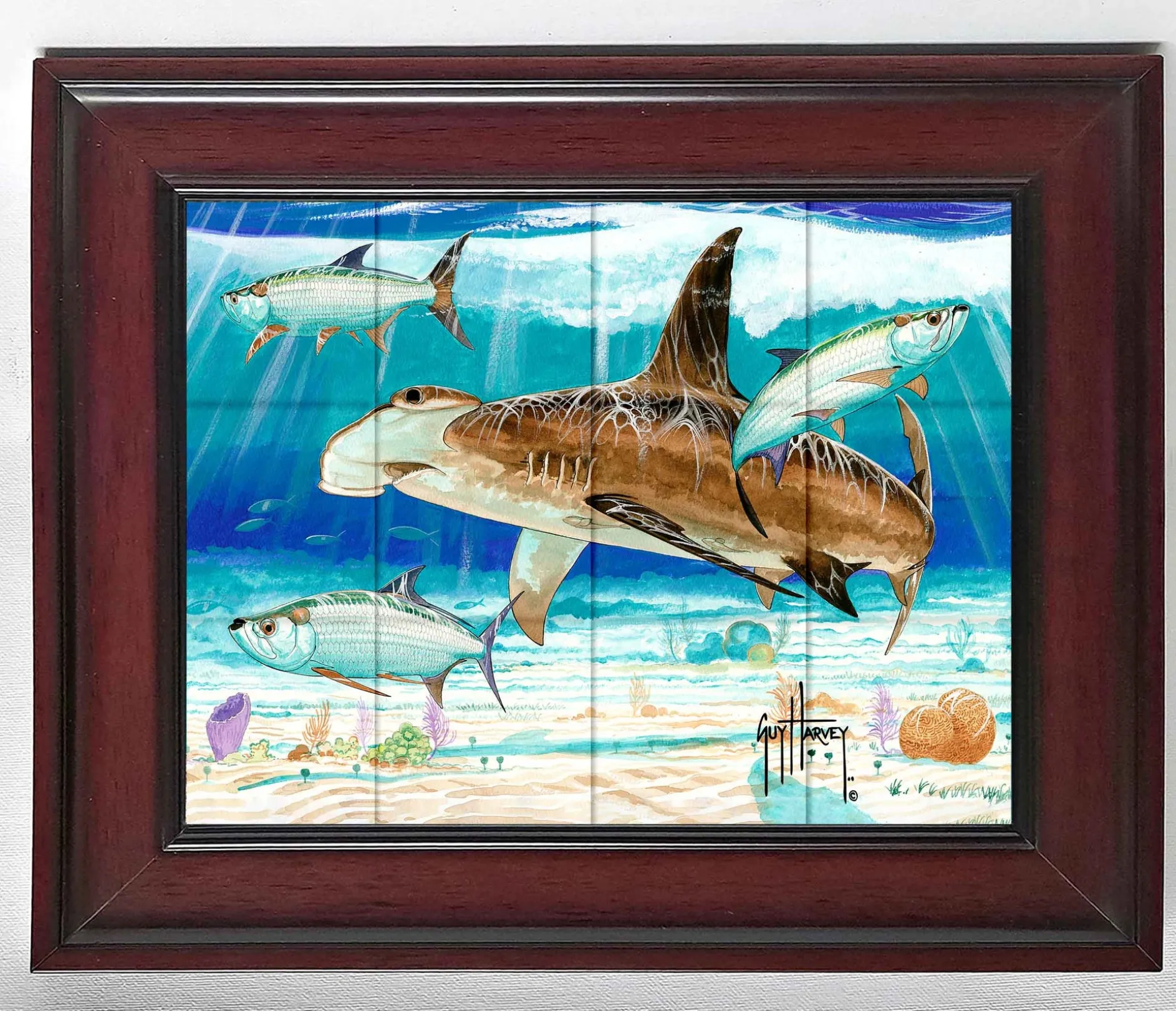 "Hammerhead Shark with Tarpon" Tile Art