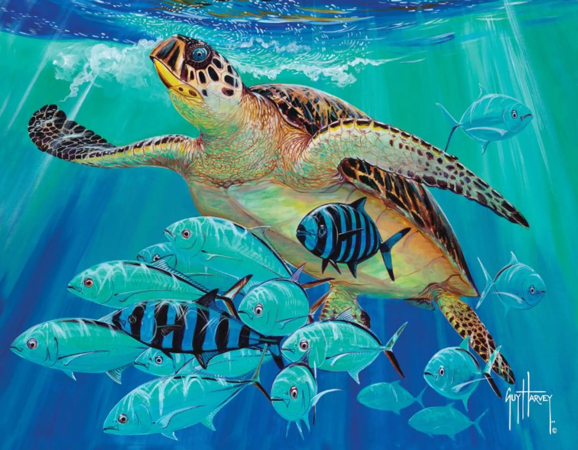 Hawksbill Caravan Guy Harvey Pet Bed