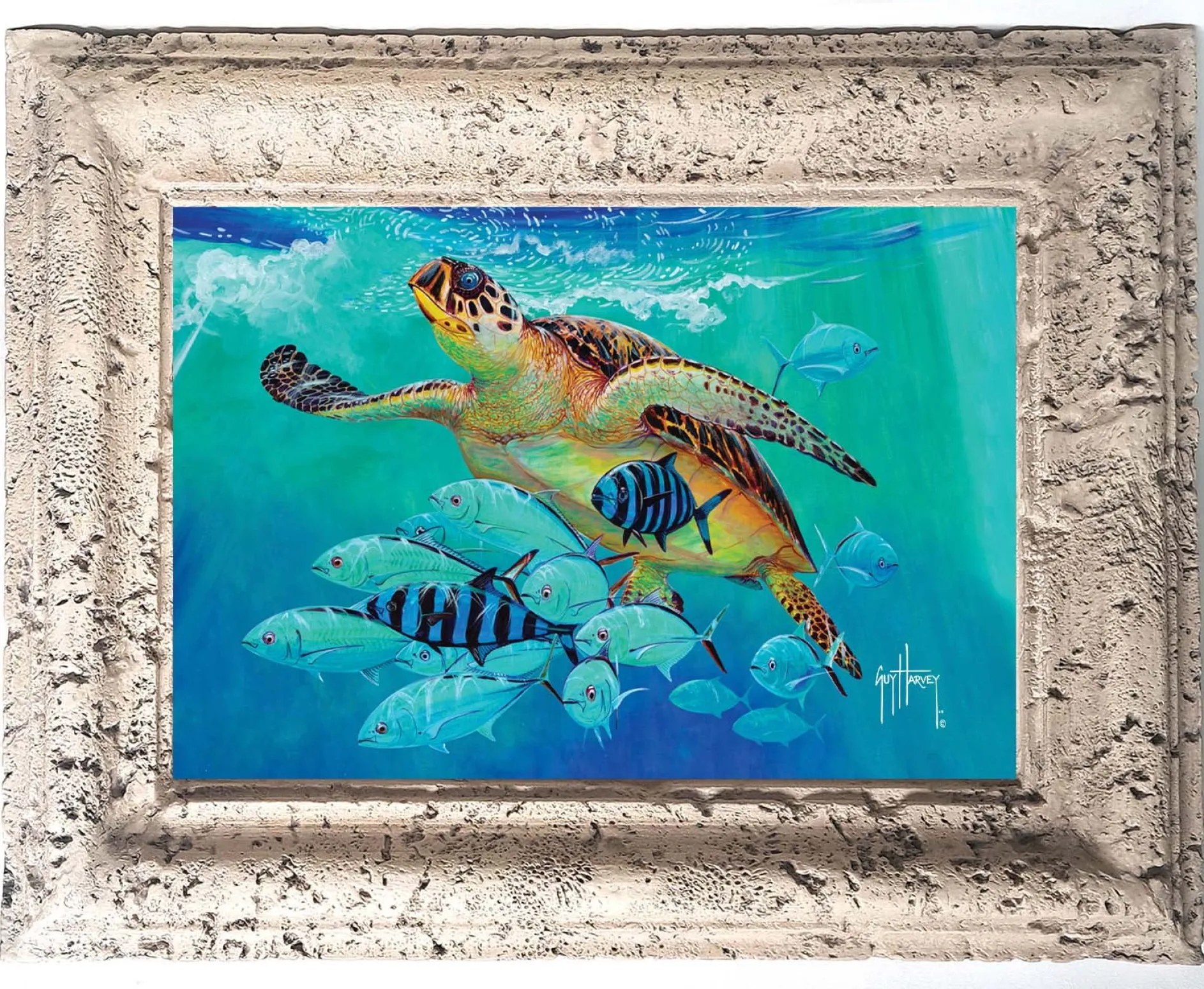 "Hawksbill Caravan" Tile Art