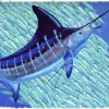 HOLY MACKEREL