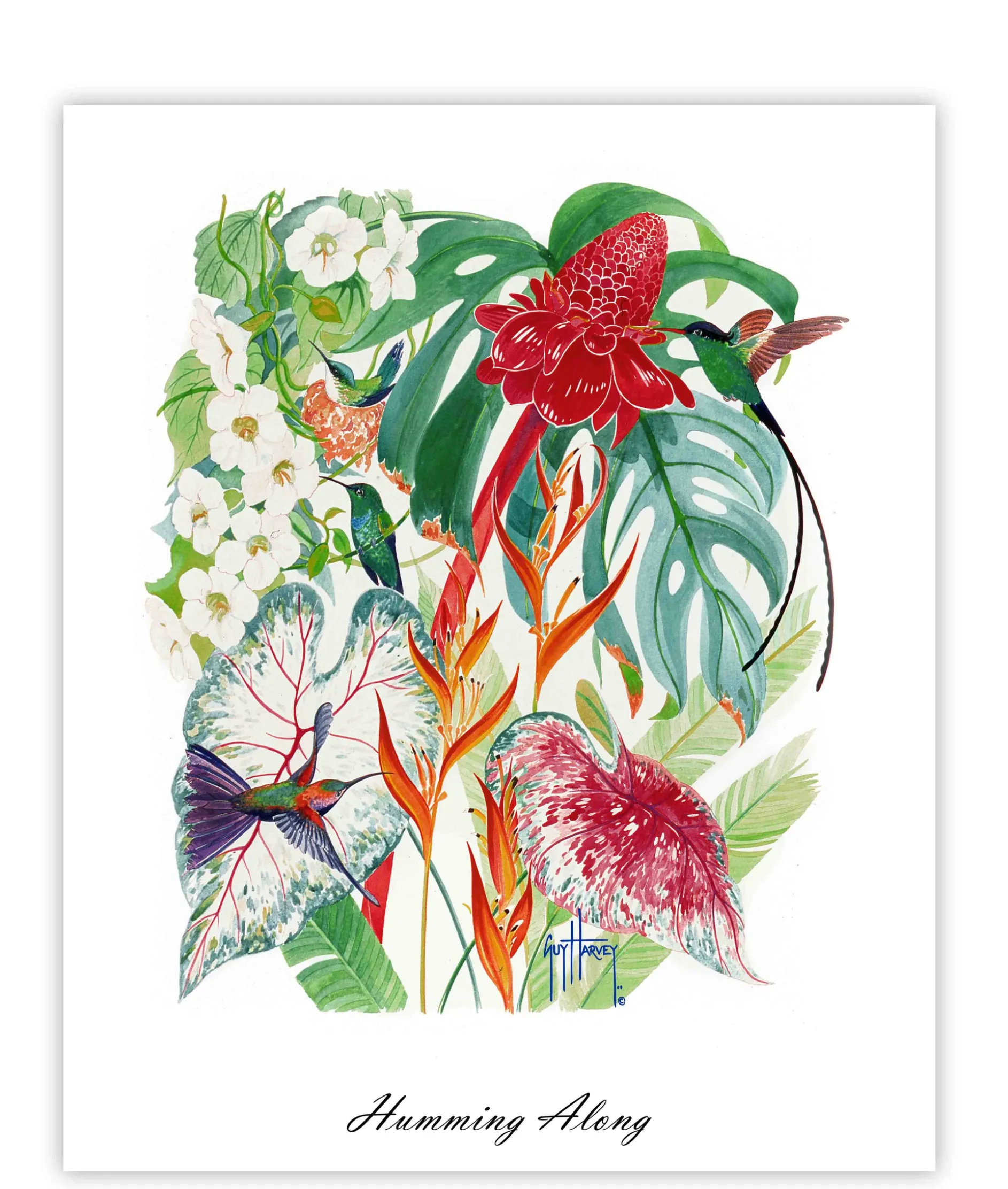 "Humming Along" Limited Edition Lithograph