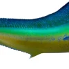 46 INCH DOLPHIN
