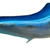 62 INCH DOLPHIN BLUE