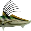54 INCH ROOSTERFISH