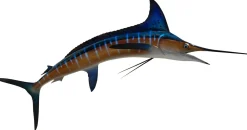 84 INCH STRIPED MARLIN